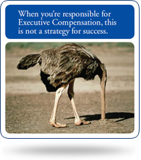 When you're responsible for Executive Compensation, this is not a strategy for success.