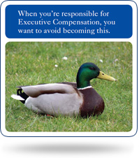 When you're responsible for Executive Compensation, you want to avoid becoming this.