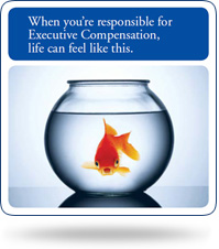When you're responsible for Executive Compensation, life can feel like this.
